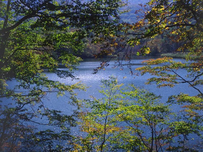 Onsen Minsyuku Akebonosou Morioka Buitenkant foto