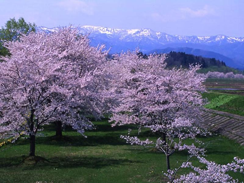 Onsen Minsyuku Akebonosou Morioka Buitenkant foto